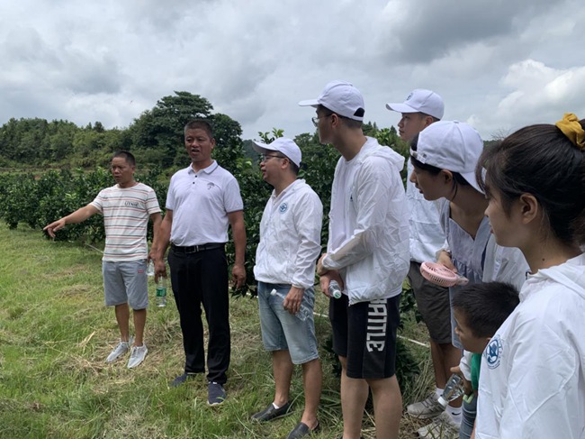 實踐隊在村主任伍玉炎帶領下參觀贛南臍橙種植園。福建船政交通職業(yè)學院供圖
